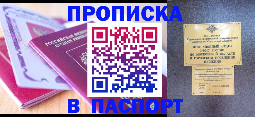 прописка законно в Каргополе